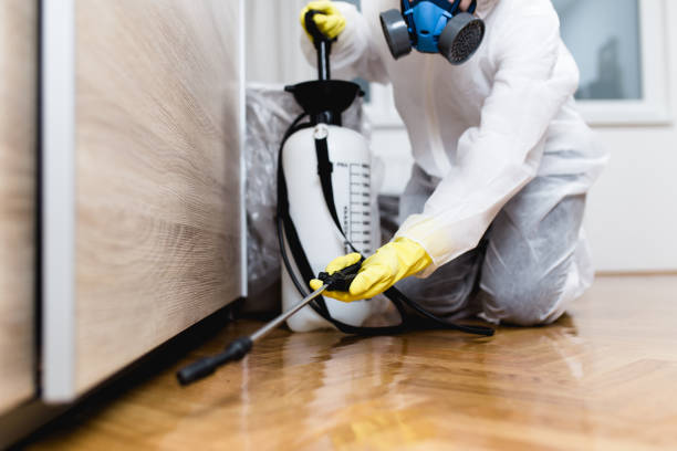 Professional Pest Control in Crownpoint, NM