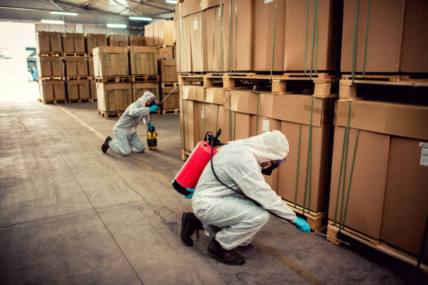 Best Best Pest Control Companies  in Crownpoint, NM