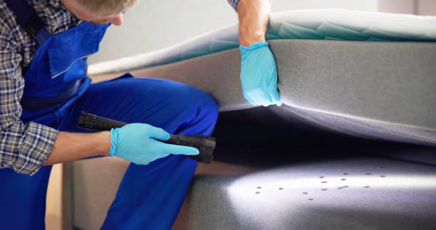 Best Commercial Pest Control Services  in Crownpoint, NM