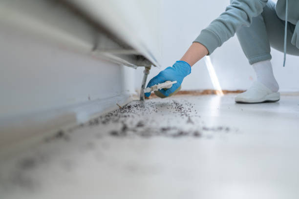 Best Affordable Exterminators  in Crownpoint, NM